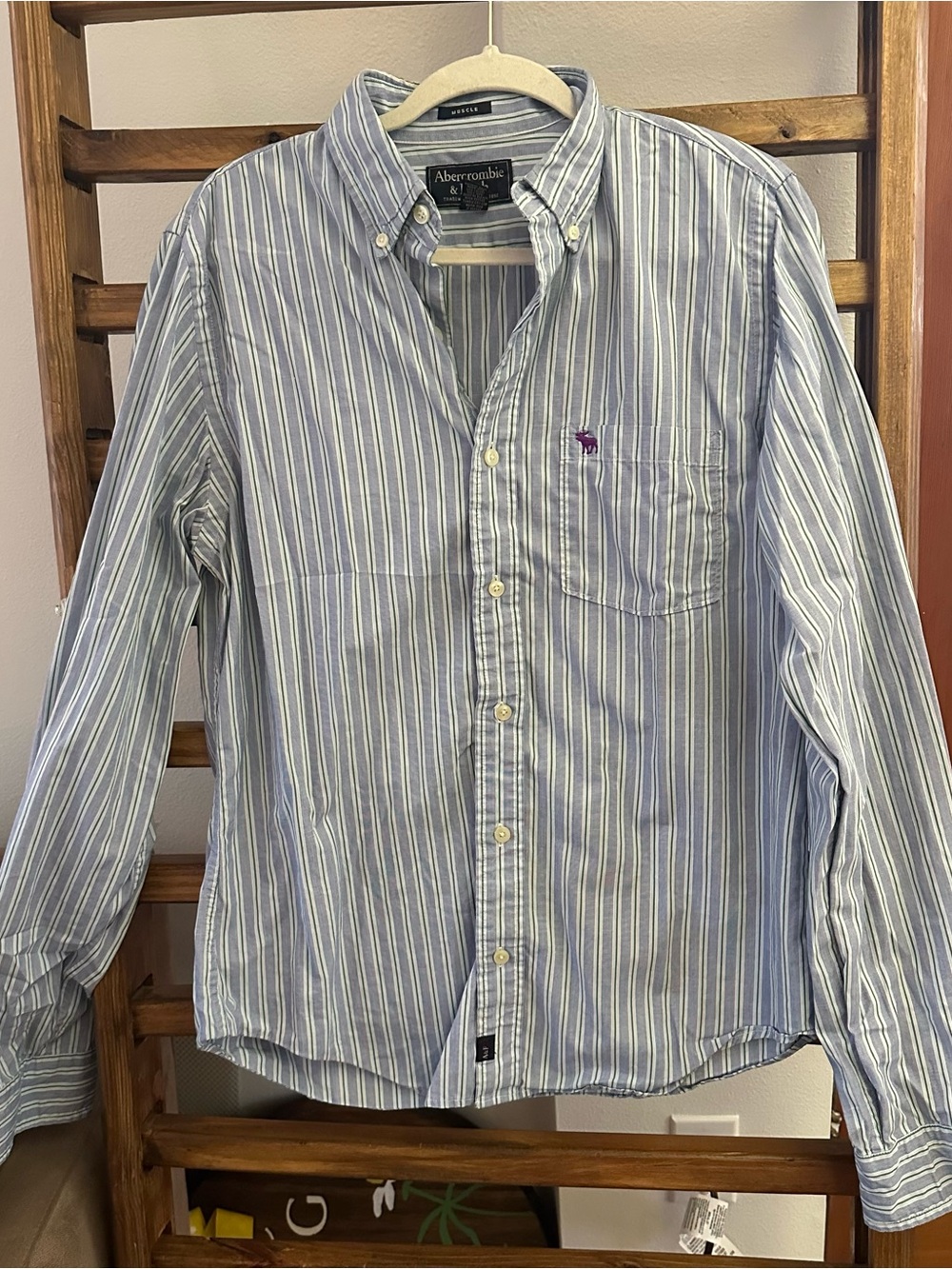 Abercrombie & Fitch Men's Blue Striped Button-Down Shirt